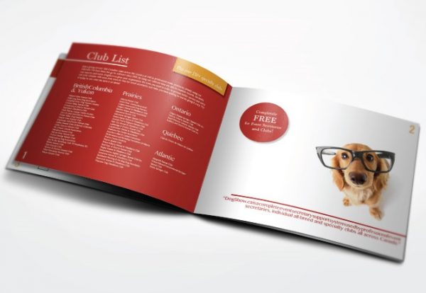 Cheapest Booklets and Catalogs - Self Cover Printing